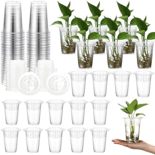 Baderke 36 Pcs Plastic Plant Propagation Vase for Indoor Decor, 4.57'' by Baderke