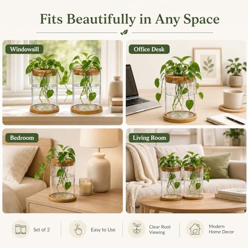 Glass Plant Propagation Stations, 2PCS - Image 6