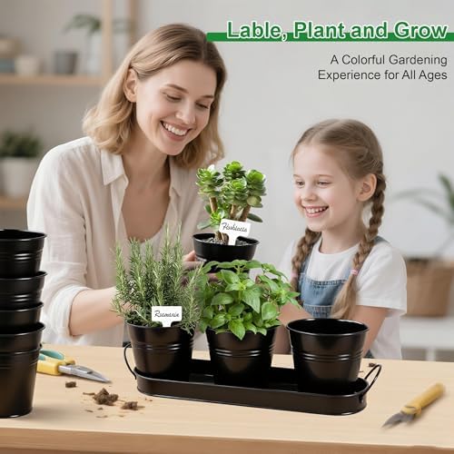 Herb Garden Planter Indoor Kit – 6 Metal Pots with 2 Trays for Windowsill & Kitchen Counter – Modern Decorative Indoor Planters for Herbs, Succulents & Small Plants, Black - Image 7