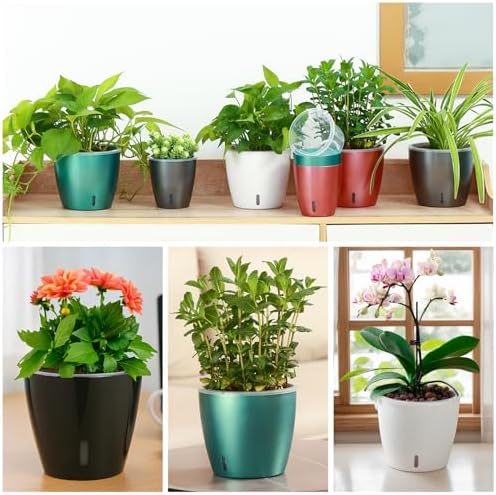 Self Watering Pots for Indoor Plants, 6-Pack 5'' Self Watering Planter with Drainage Holes, Small African Violet Pots with Water Indicator, Clear Wick Orchid Pot, White - Image 5