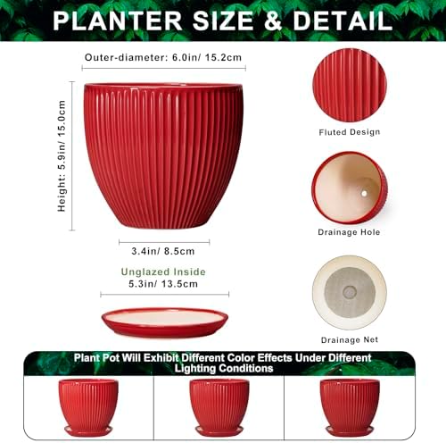 Ceramic Planter, 6 Inch Plant Pot Indoor with Drainage Hole and Saucer, Small Pots for Plants, Modern Succulent Flower Pot, Round Planter, House Garden Decor, Plant Gifts for Women Men, Red - Image 2