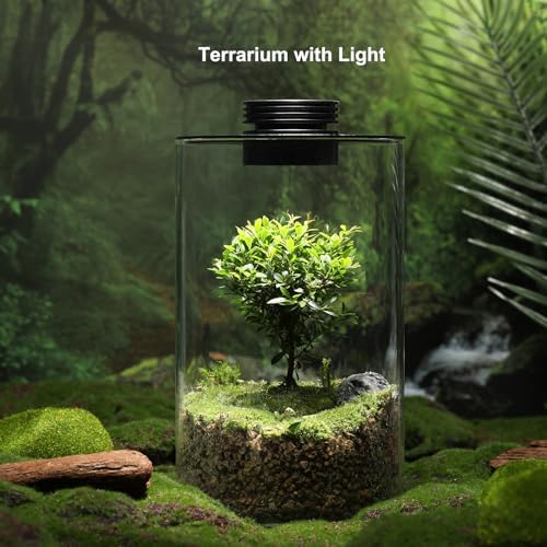 Desktop Glass Plant Terrarium with Grow Light for Carnivorous Plants & Moss - Image 2