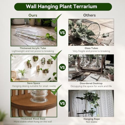 Artilady Plant Propagation Station Wall Hanging, Wood Arch Terrariums Tube - Image 4