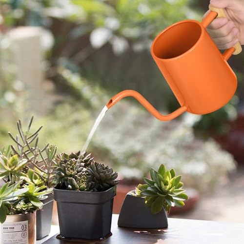Watering Can Indoor Plants, 35 oz/1000 ml Metal Stainless Steel Watering Can Pot with Long Spout for Indoor House Plants Bonsai Outdoor Garden Flower Decorative (Orange) - Image 2
