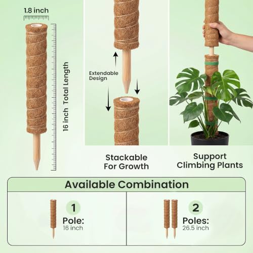 4 Pack 16" Moss Pole Monstera Plant Support - Stackable up to 48" - Image 3