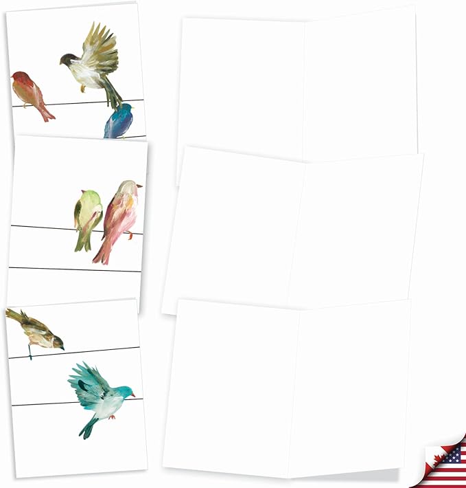 The Best Card Company - 10 Bird Note Cards Blank (4 x 5.12 Inch) - All Occasion Cards with Envelopes, Boxed Set - High Wire Birds M3318