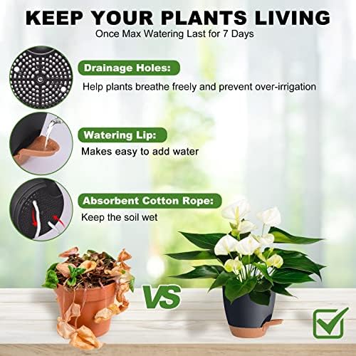 7/6.5/6/5.5/5 Inch Self Watering Pots for Indoor/Outdoor Plants, 5 Pack - Image 2