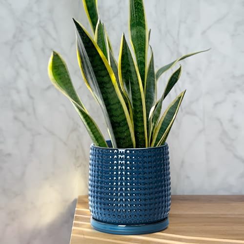 D'vine Dev Beaded Ceramic Planter Pots, 4/6 in, Midnight Blue, 27-D-U-3 - Image 5