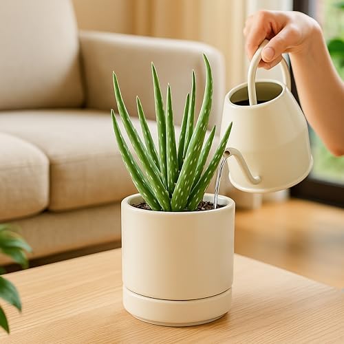 D'vine Dev 4.7 Inch Ceramic Planter Pot, Oatmeal, 94-O-B-8 - Image 6