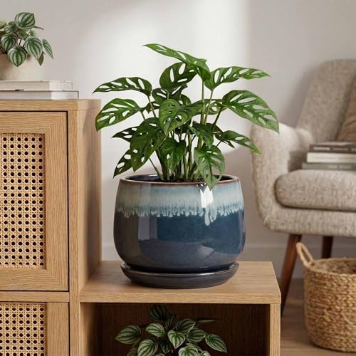 Ceramic Plant Pots, 9 Inch Ceramic Planter with Saucer, Retro Blue - Image 4