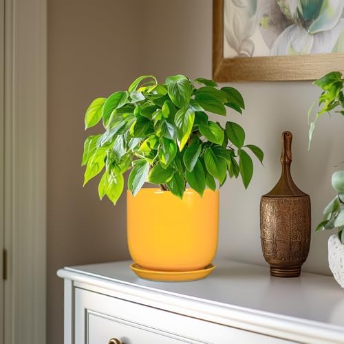 Indoor Plant Pot - 7 Inch Modern Round Ceramic Planter for Indoor Outdoor Plants with Drainage Hole and Saucer, Home Garden Office House Decor, Yellow - Image 4