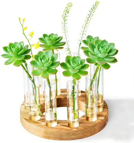 Melphoe Glass Bud Vases Small Flower Vase for Centerpieces Wedding Table Decorations, Home Decor, Propagation Station Plant Terrarium with Wooden Stand, Unique Plant Lover Gifts for Women (Brown) by Melphoe