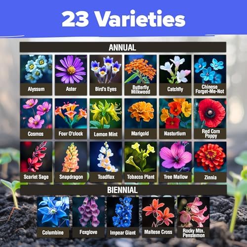 HOME GROWN Premium Wildflower Seeds Bulk Mix | 134,000+ Non-GMO USA Native Flower Seed for Planting Outdoors | 23 Perennial & Annual Varieties for Butterfly Garden | 3 oz - Image 3