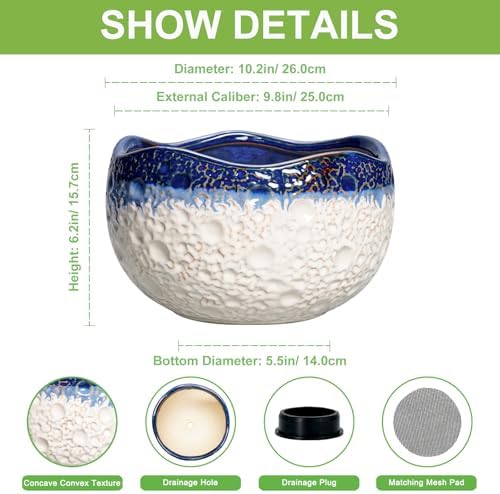 Ceramic Flower Pots, 10 Inch Planter with Drainage, Beige-Blue - Image 2