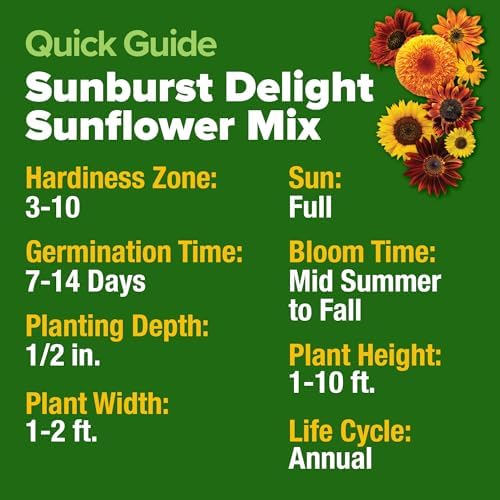HOME GROWN Sunflower Mix Seeds, 9 Variety, 1,500+ Seeds - Image 6