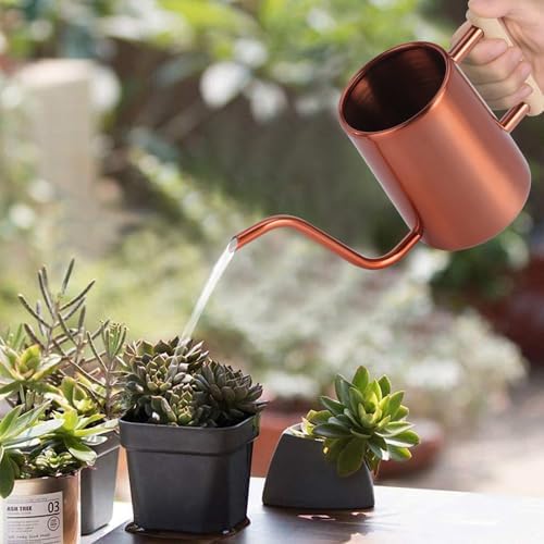 Watering Can Indoor Plants, 35 oz/1000 ml Metal Stainless Steel Watering Can Pot with Long Spout for Indoor House Plants Bonsai Outdoor Garden Flower Decorative (Copper) - Image 2
