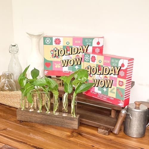 KAXYEW Desktop Glass Plant Propagation Station Test Tube Plant Terrarium in Wooden Stand for Hydroponic Plants Cutting Office Home Decoration - Image 2