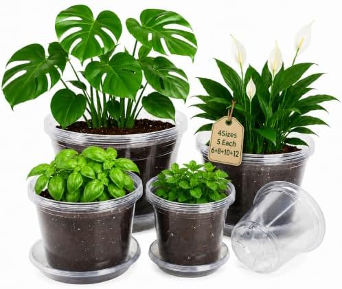 Bluepro Clear Nursery Pots with Saucers, 6/8/10/12 Inch, 20-Pack by Bluepro