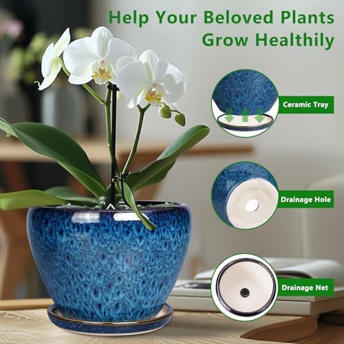 Ceramicfor 10 Inch Ceramic Planter Pot, Ceramic Plant Pot for Indoor Outdoor Plants, Large Flower Pot with Drainage Hole and Saucer, Blue - Image 5