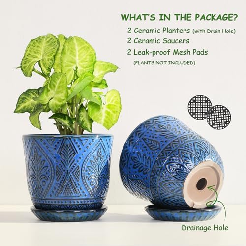 Gepege Ceramic Plant Pots, 6 Inch Indoor Planters with Drainage & Saucers - Image 3