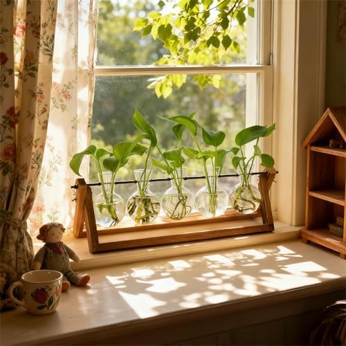 Renmxj Plant Propagation Stations with Wooden Stand & 5 Glass Bulb Vases - Image 4