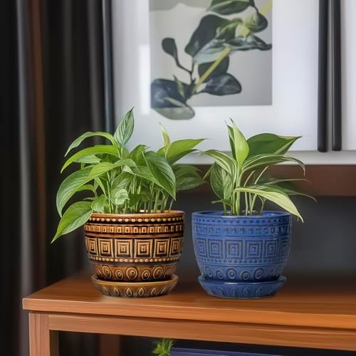 G EPGardening Succulent Pot 5.5 Inch - Ceramic Plant Pot for Indoor Plants Outdoor, Round Boho Planter with Drainage Hole and Saucer, Gifts for Plant Lovers, Office Home Garden Decor, Brown - Image 7