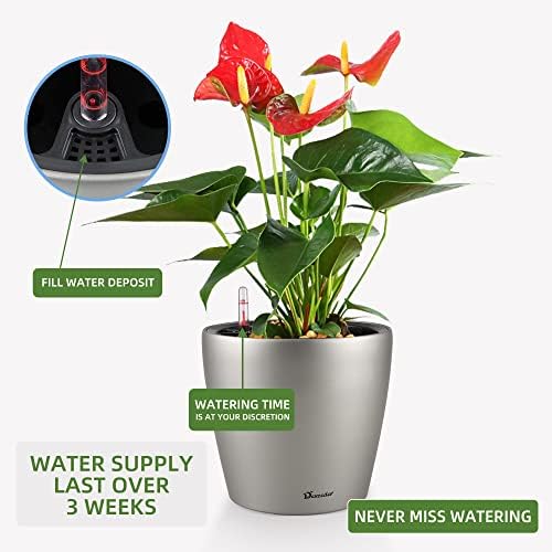 Dexceder 9x8 Self Watering Planter (Smoky Gray Matte) - Image 5
