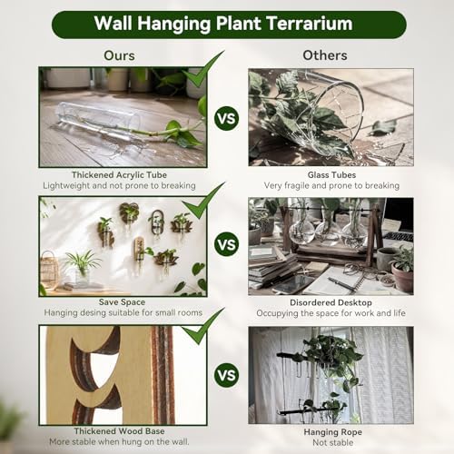 Artilady Plant Propagation Station Wall Hanging, Planter Terrariums Tube - Image 3