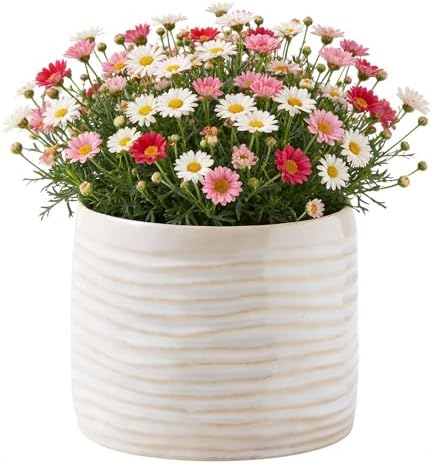 Plant Flower Pot, Small Ceramic 5" Modern Flower Pots for Home Office Indoor Outdoor Planters, Planter for Orchid Succulent Cactu Floral, Handmade Ceramic Vase (Without Drainage) - Image 2