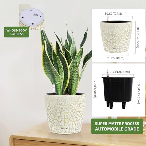 Dexceder 11x10 Self Watering Planter (White Gold Crackle) - Image 2