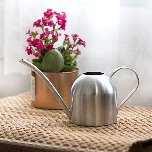 Watering Can for Indoor Plants, 450ml/15oz Stainless Steel - Image 5