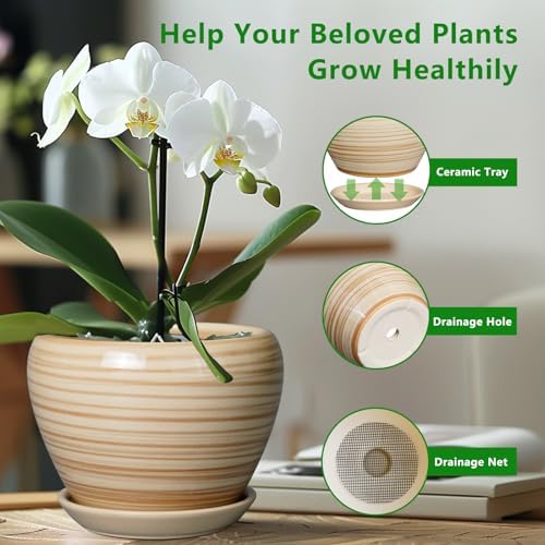 Ceramicfor Ceramic Pot for Plant 10 Inch - Planter for Outdoor Plants Indoor Plant Pot with Drainage Hole Large Planter Round Flower Pot for House Patio Garden Yellow - Image 5