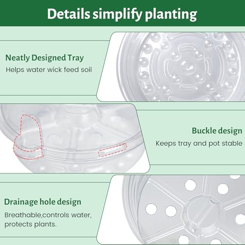 Bluepro Self Watering Pots for Indoor Plants, 6.5 Inch, 12-Pack - Image 5