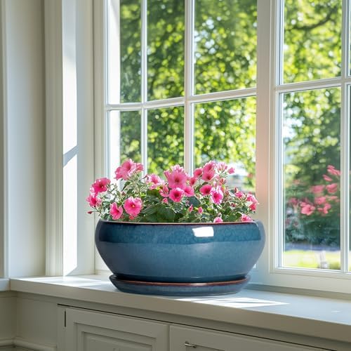 SQOWL Bonsai Tree Pots - 12 Inch Ceramic Succulent Pots, Large Shallow Planter with Drainage Hole and Saucer, Bowl Round Planters for Indoor Outdoor Plants, House Decor, House Warming Gifts, Blue - Image 6