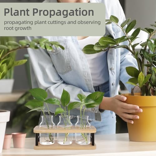 THYGIFTREE Plant Propagation Station with Wooden Stand, Propagation Vases Glass Planters for Indoor Plants Hydroponic Propagating Jars Home Office Decor, Plant Lover Gifts - Image 4