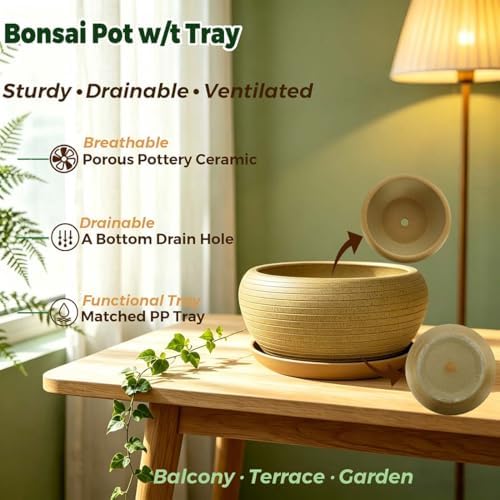 MUZHI 9.5” Round Large Ceramic Bonsai Bowl Planter，Clay Succulent Plant Pot Container with Saucer (9.5”) - Image 3