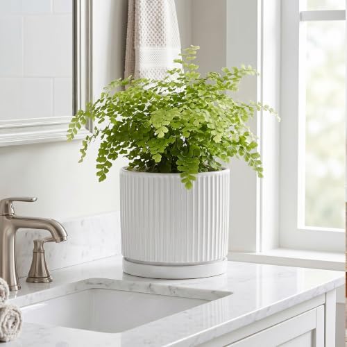 8 Inch Pots for Plants, Ceramic Plant Pots with Saucer, White - Image 7
