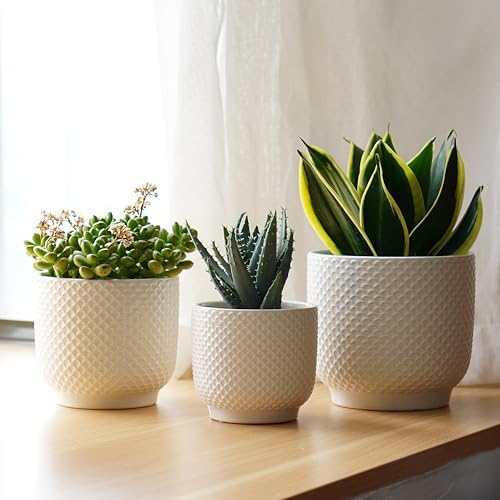 4 + 5 + 6 Inch Ceramic Pots for Indoor Plants, Succulents Plant Pots, Orchid Flower Pot with Drainage Hole, Modern Clay Stoneware Planters, Set of 3 (White, 4+5+6 Inch) - Image 7