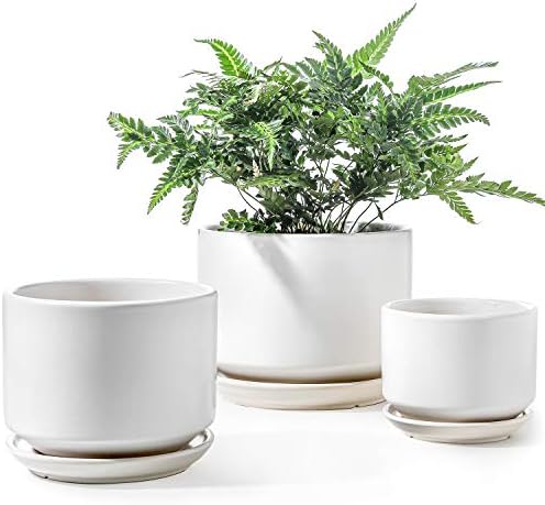 LE TAUCI Ceramic Pots for Plants, 4.3+5.3+6.8 Inch Plant Pots, Indoor Planters with Drainage Hole and Saucer for Succulents, Herbs and Flowers, Set of 3, Satin, White by LETAUCI