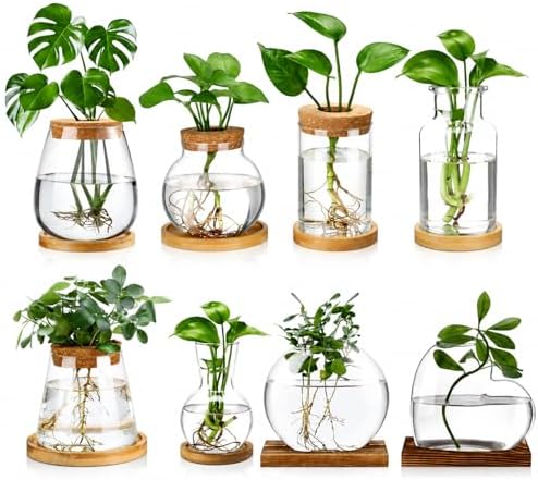 Honeydak 8 Pcs Plants Propagation Stations Desktop Glass Propagation Vases by Honeydak