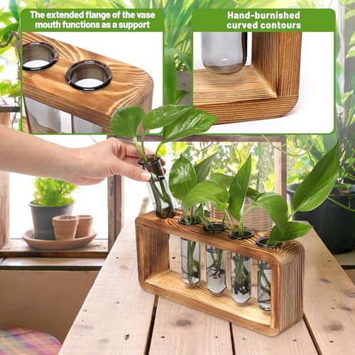 Glass Plant Propagation Station with 5 Test Tubes Colorful Planter Vase - Image 4