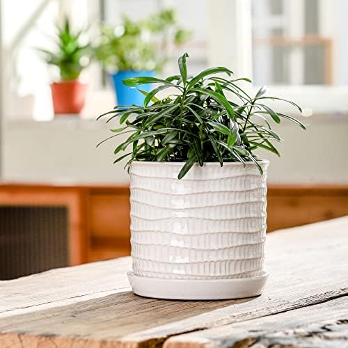 5.8 Inch Ceramic Planter with Drainage Hole & Bonded Saucer - Image 3