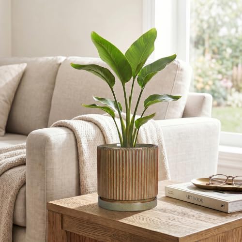 6 Inch Plant Pot, Ceramic Planters with Saucer, Retro Brown - Image 5