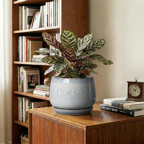 7 Inch Planter Indoor, Ceramic Pots for Plants, Grey-White - Image 5