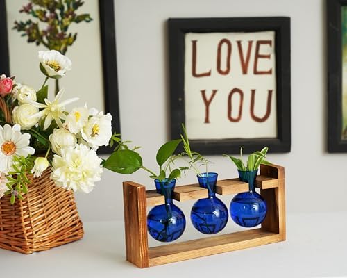 Kingbuy Glass Plant Terrarium Propagation Station - 3 Bulb Colored Vases with Retro Wood Stand Indoor Garden Planter - Wall Mounted & Desktop Decor for Home Kitchen Wedding, Gift for Plant Lover, Blue - Image 2