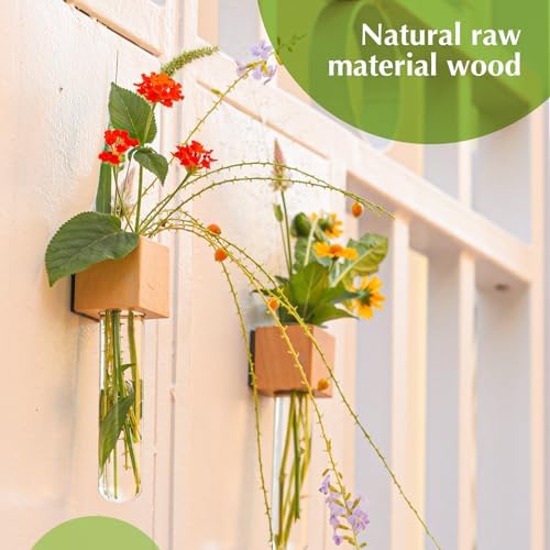 Wooden Wall Planter Glass Plant Propagation Stations Fridge Glass Tube Single Stem Bud Vase 2Pcs/Set Modern Decorative Cube Wood Window Flower Vase Refrigerator Magnetic Mini Glass Vase with Dropper - Image 4