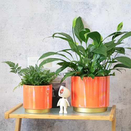 Gepege Peach Indoor Plant Pots for Plants, Ceramic Planter with Drainage Hole, 7.6 Inch +6 Inch 2pcs Succulent Orchid Flower Pot - Rainbow Pearl Glaze - Image 5