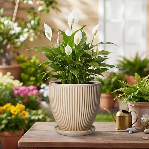 Ceramic Plant Pot, 6 Inch Succulent Pots with Drainage Hole and Saucer, Decorative Pot for Indoor Plants, Modern Indoor Flower Pots, Round Planter, Bedroom Decor, Plant Lover Gifts, Beige - Image 4