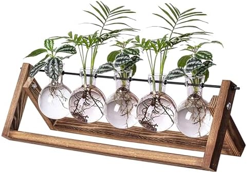 Kingbuy Plant Propagation Station with 5 Bulb Vases Retro Wooden Stand Desktop Glass Planter Terrarium for Hydroponics Plants Home Office Décor by Kingbuy