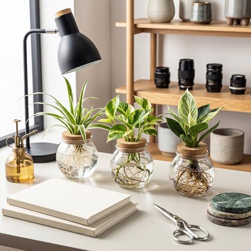 12 Pack Glass Plant Propagation Stations, Spherical - Image 5